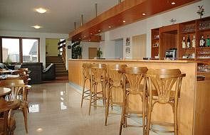 Hotel Chotol Horomerice Luaran gambar